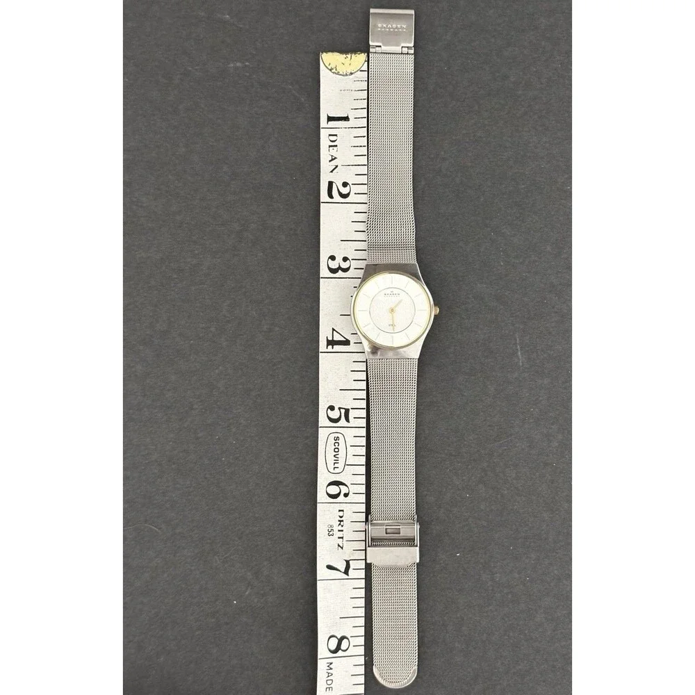 Skagen Watch Women’s Silver Dial Stainless Steel Round Mesh Band New Battery